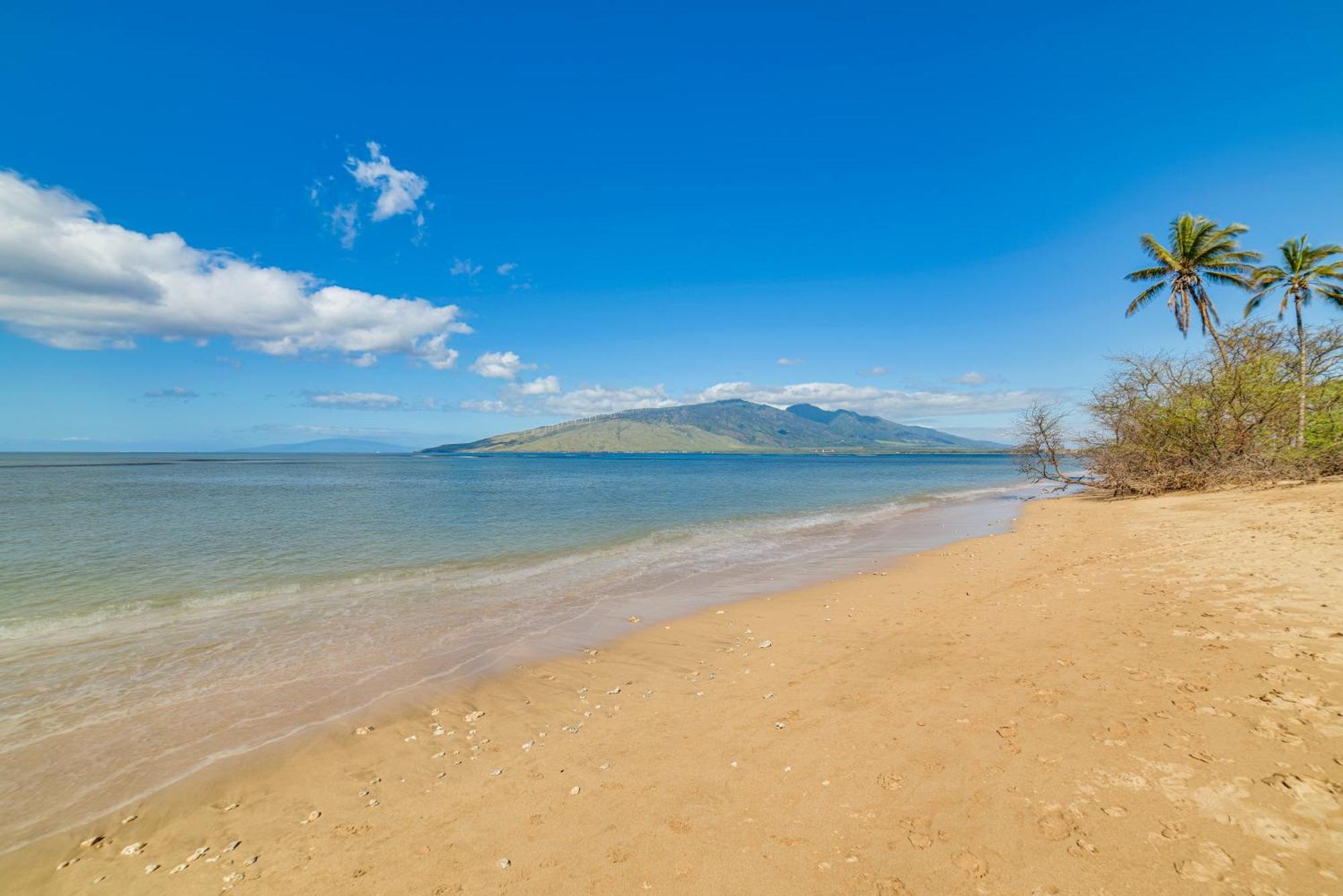 Beachside Kihei Vacation Rental With Stunning Views! Eksteriør billede